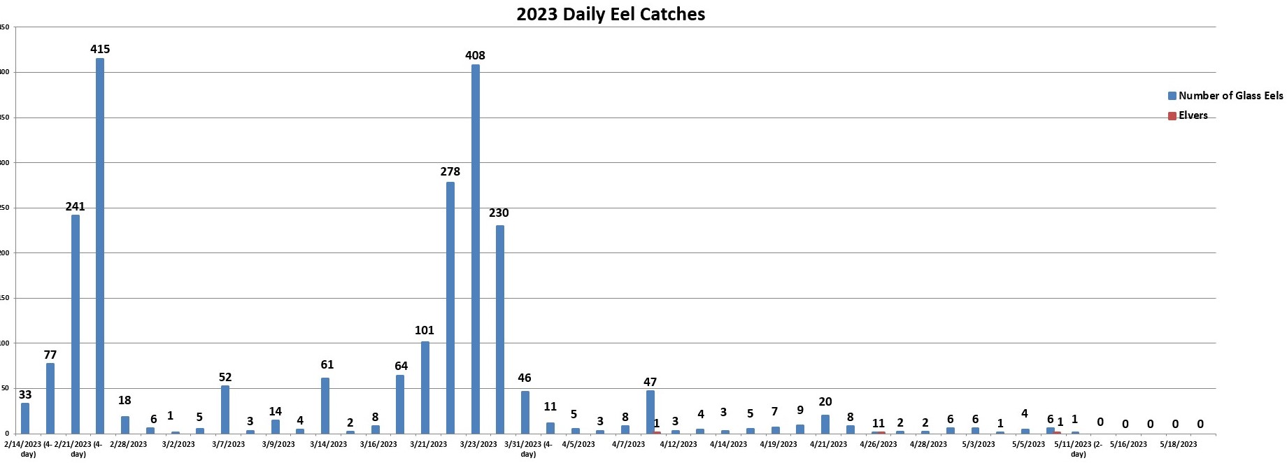 2023eels1.jpg