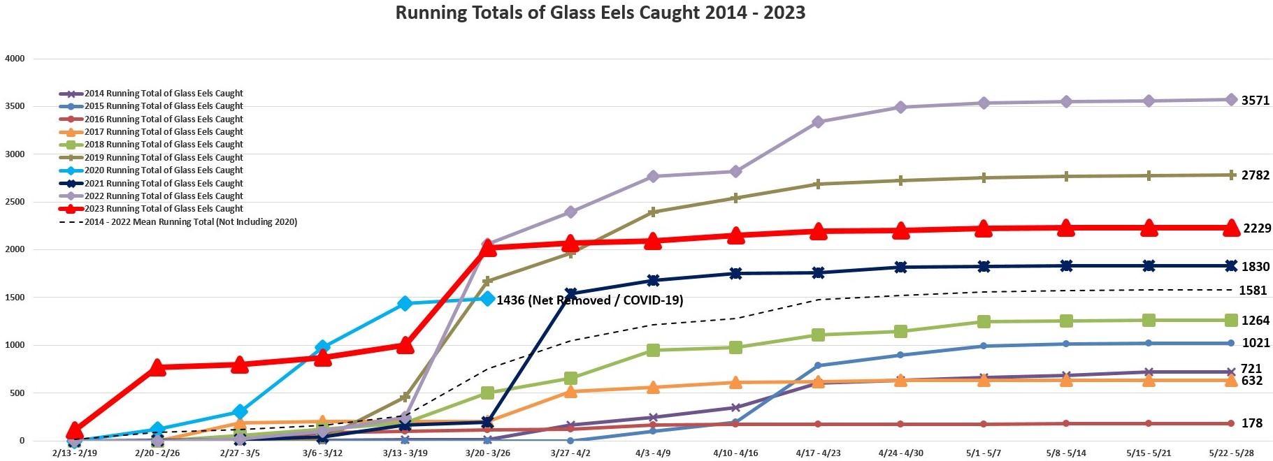 Running Total of Eel Counts