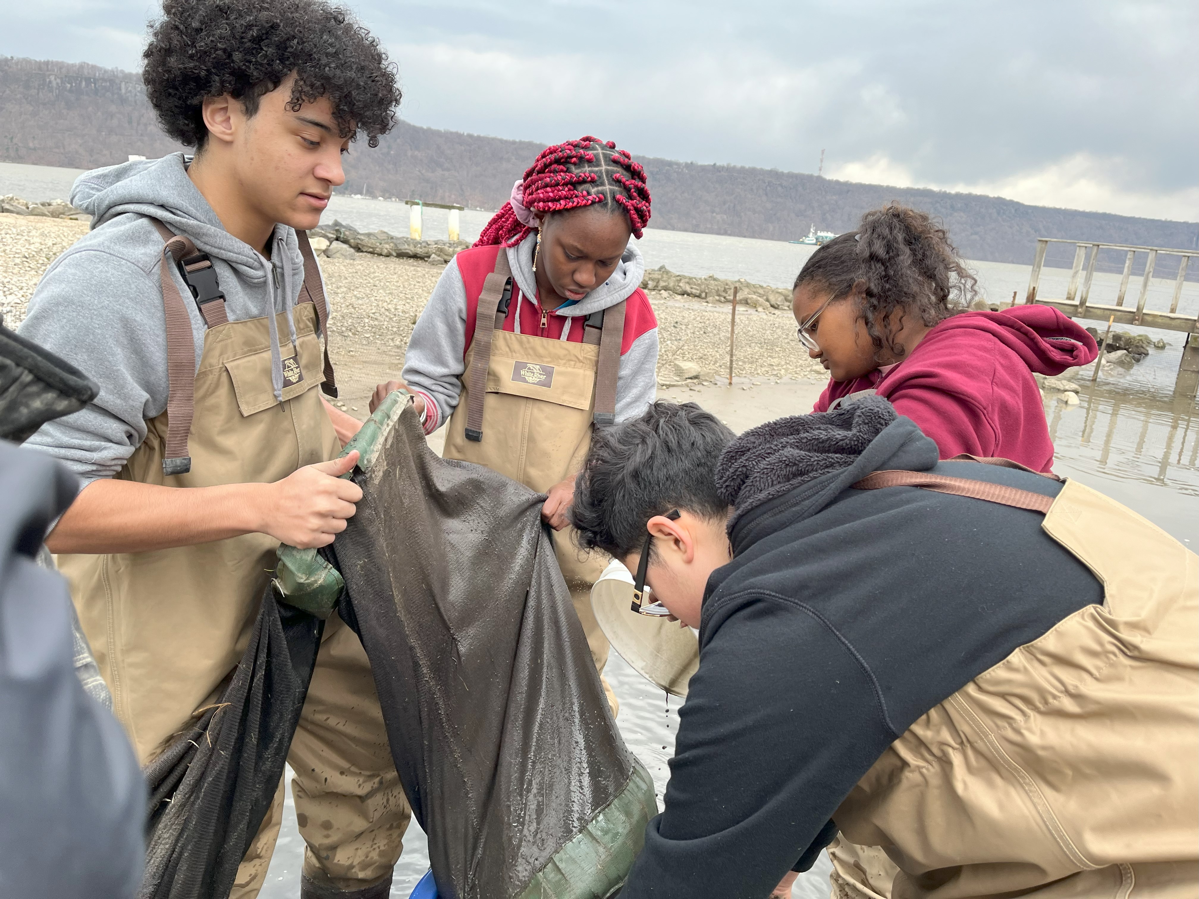 Eel Sampling