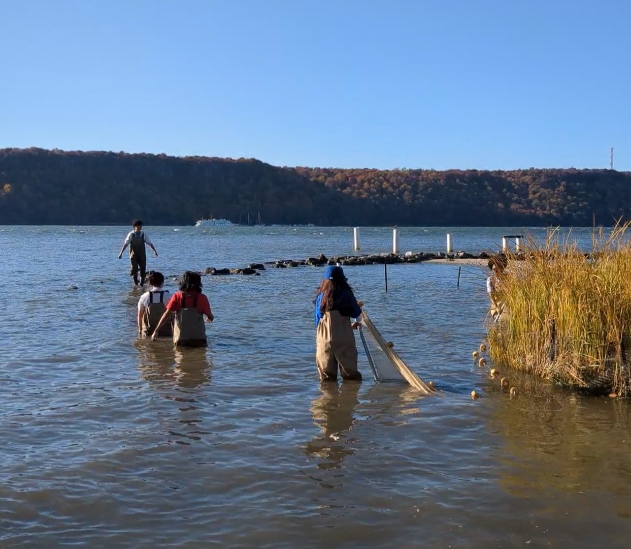 EELS Team Seining