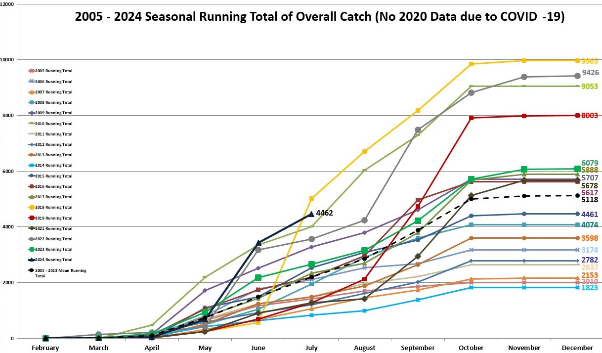 Yearly Total Catch