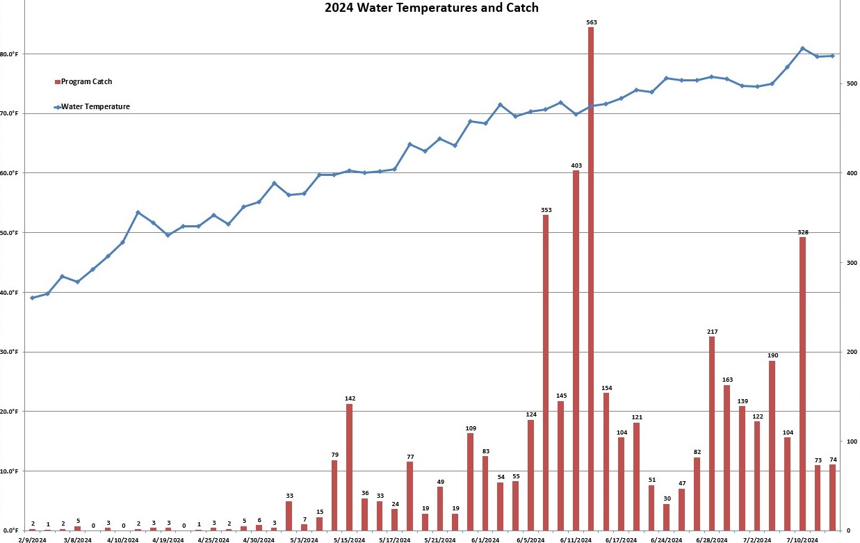 Water Temp and Catch