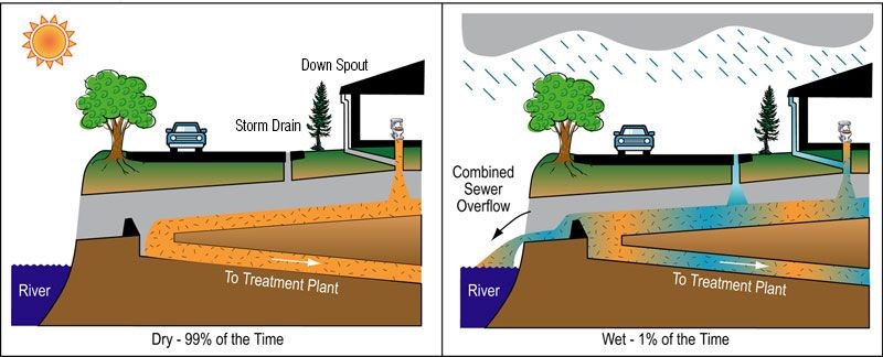 Water Quality | Center for the Urban River at Beczak | Sarah Lawrence ...